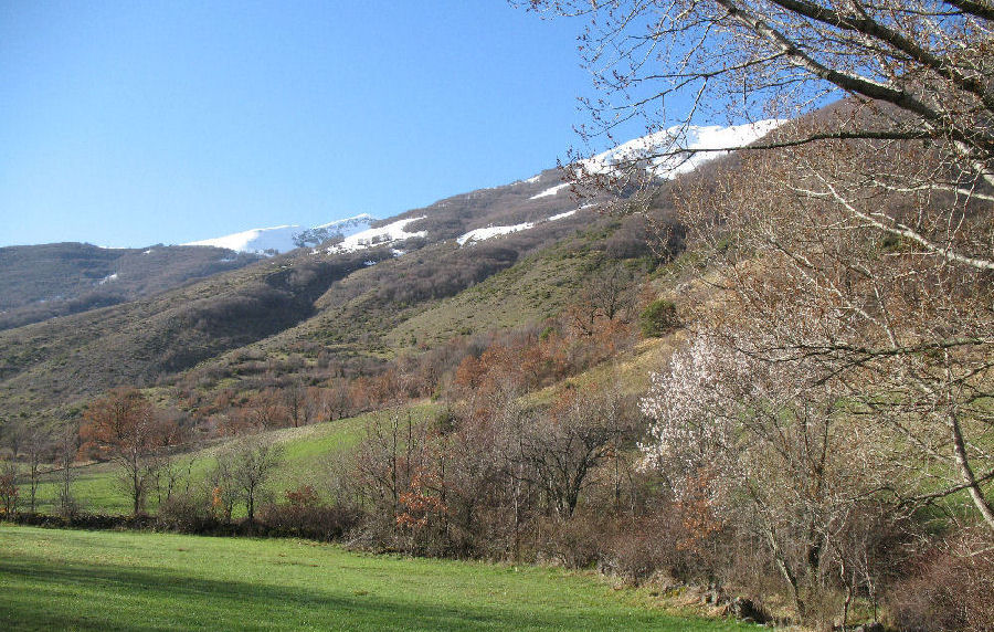 Oltrepassata la chiesetta di Peschio Cancelli, il sentiero continua costeggiando il Rio e i prati di fondovalle, fino a Casamaina